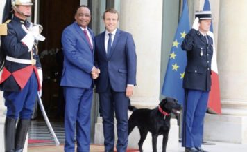 Macron Issoufou et chien