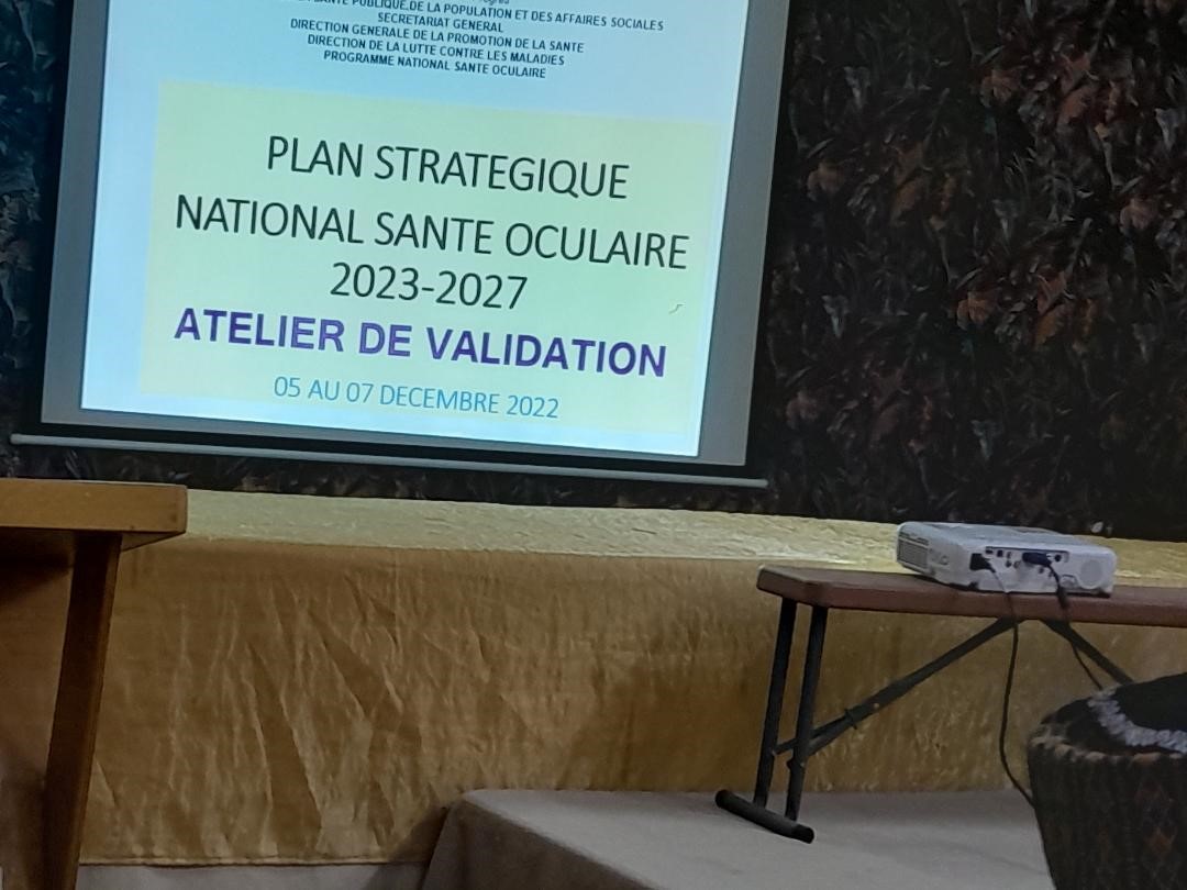 Niger: validation of the national eye health strategic plan (PNSO) 2023 -2027 – Niger Express